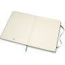 Блокнот MOLESKINE Classic XLarge, в линейку, зелёный QP090K15